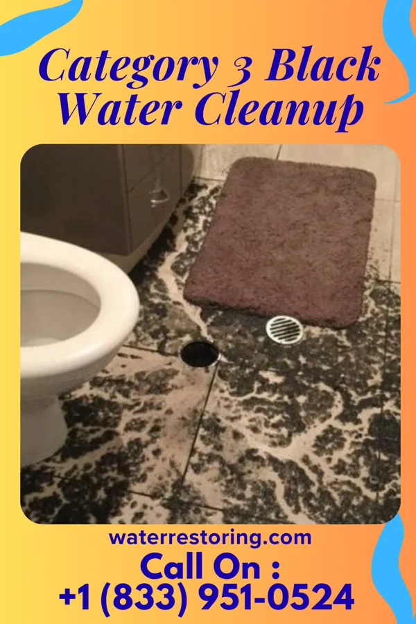 Category 3 Black Water Cleanup in New Hamburg, NY
