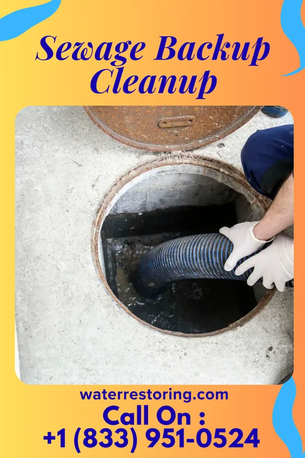 Sewage Backup Cleanup in New Hamburg, NY